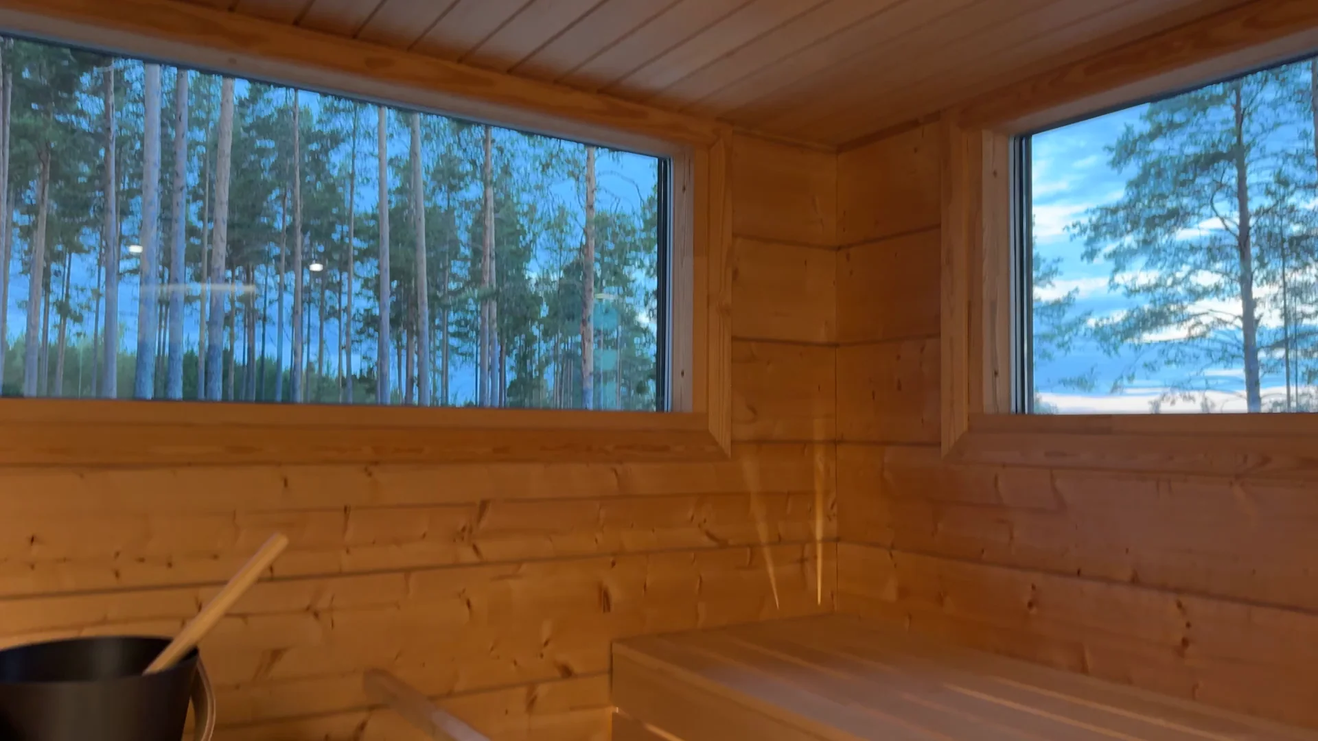 Two windows in the indoor sauna looking out into tall pine trees, above horizontal wood wall boards and the top bench
